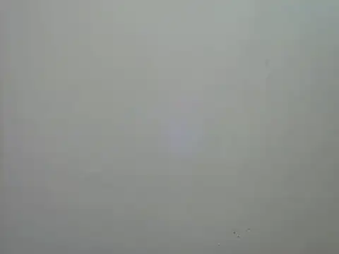 Rasta_tattooed live sex cam