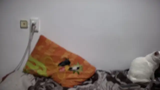 Aphr0ditee's cam snapshot