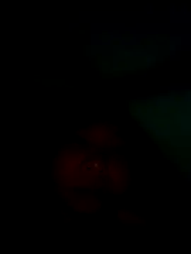 kat2026's cam snapshot