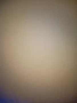 bustybillies's cam snapshot