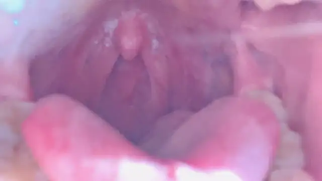 LT-333's cam snapshot