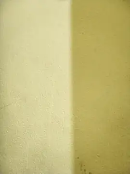 veenacute's cam snapshot