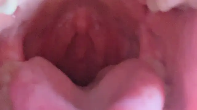 LT-333's cam snapshot