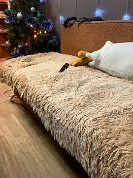 Xyligana33 live sex cam