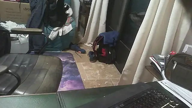 shyfrenchcock1 live sex cam