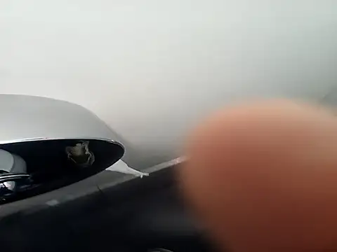 Peter059006's cam snapshot