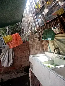 alexchir4 live sex cam