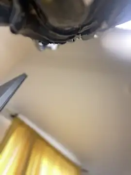 baby_lizy's cam snapshot