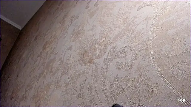 Diamond_D_'s cam snapshot