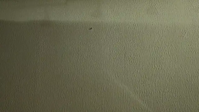 Zgodanilep live sex cam