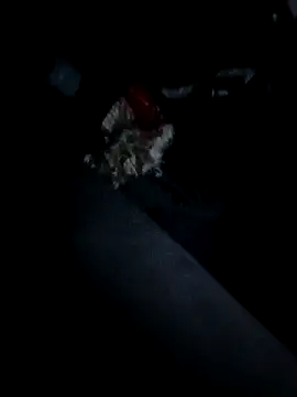 Bigcockmexi13 live sex cam