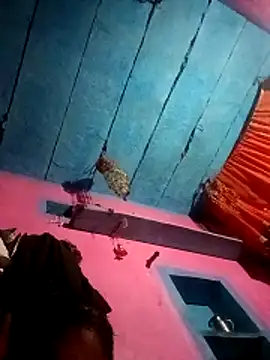 NENSH34's cam snapshot