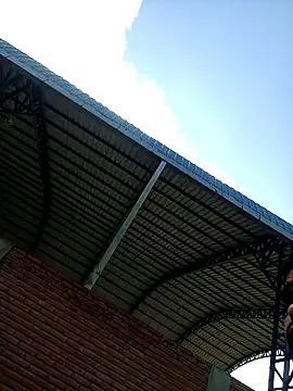 TUAMIGOLH's cam snapshot