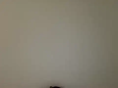 Darivelli's cam snapshot