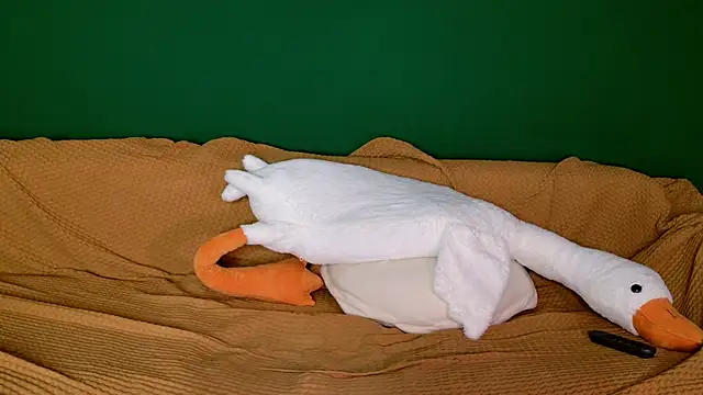 jane-booblegum's cam snapshot