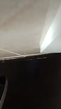 TuFlapito's cam snapshot