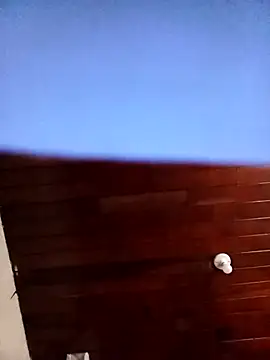 tonypresido7's cam snapshot