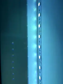 ShannonShanny's cam snapshot