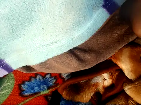 Anaconda-Mall's cam snapshot