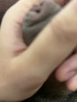 StickyTick's cam snapshot