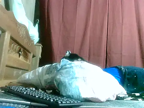 2ocmaxi live sex cam