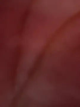 izanmiller2001's cam snapshot