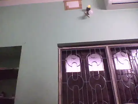 ssamit0808's cam snapshot