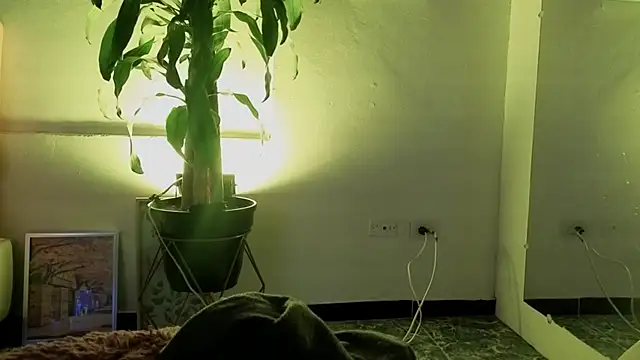 Im_Perlaa_ live sex cam