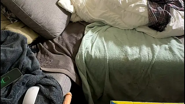 swissMen_DE live sex cam