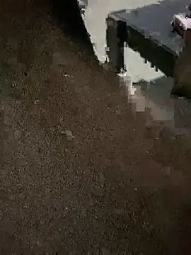 YawlingJingoist live sex cam