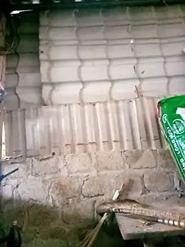 My_xinhz's cam snapshot