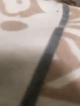 calme_odl1's cam snapshot