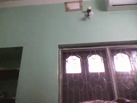 ssamit0808 live sex cam