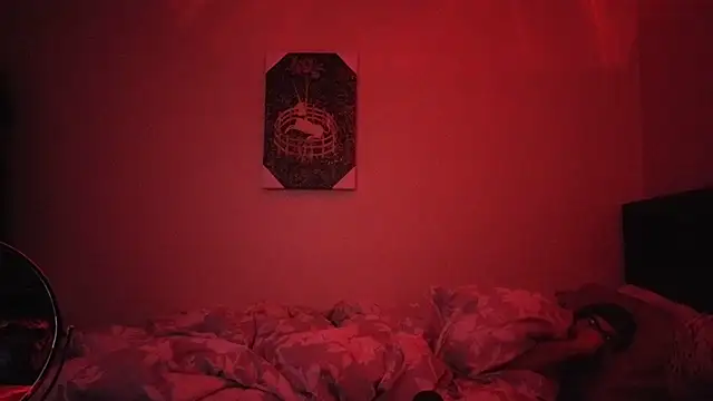 hailzeffn's cam snapshot