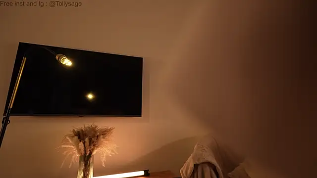 SenSage's cam snapshot