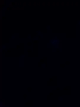 BlacHornet's cam snapshot