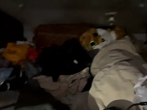 SlimeCrownzOut5's cam snapshot