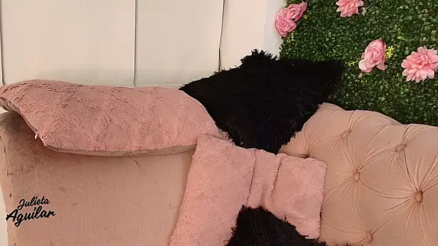 julieta_aguilar1's cam snapshot