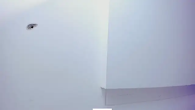 Lorna_queen live sex cam