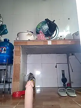 July-Asian live sex cam