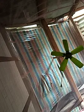 -Lynn-'s cam snapshot