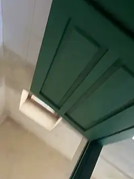 Liness101's cam snapshot