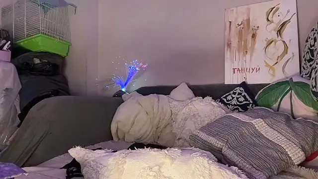 VIOLA-Sweeting's cam snapshot