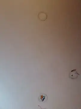 dear2002's cam snapshot