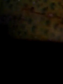 Exhibitionist1508 live sex cam