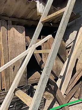 mana-ala's cam snapshot