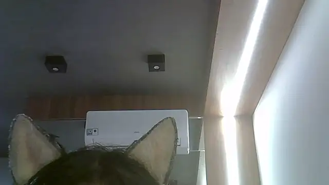 SkinnyKitten live sex cam