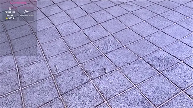 viviann_evans live sex cam