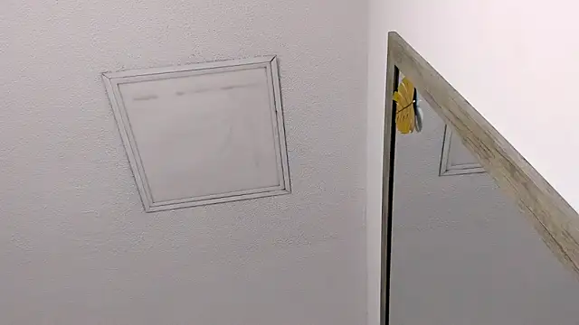 Tyler_durten live sex cam