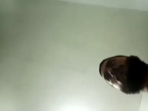 Manuel21a's cam snapshot